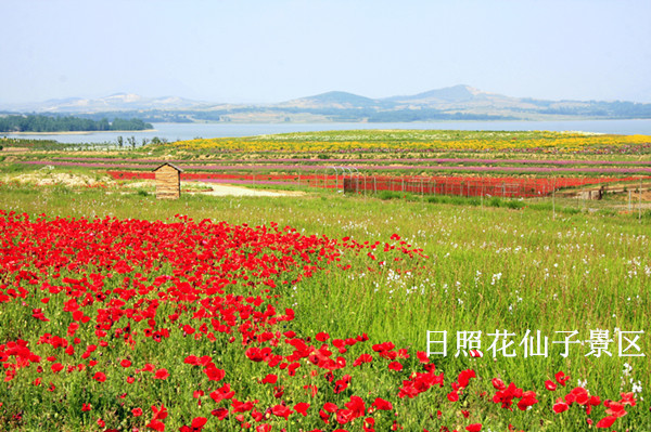 红阳休闲渔家-图片