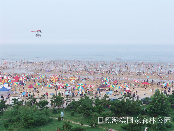 唱海渔家-图片