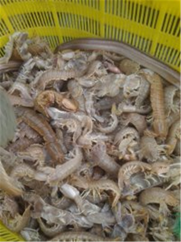 晓辉渔家-图片