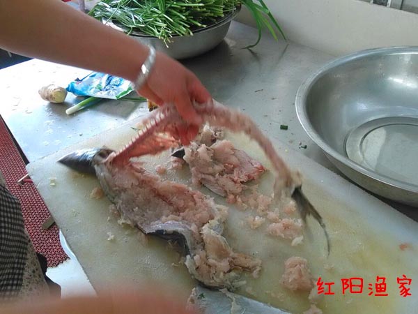 红阳休闲渔家-图片
