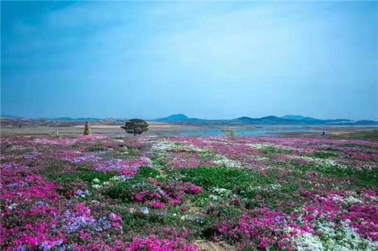 花仙子风景区-图片